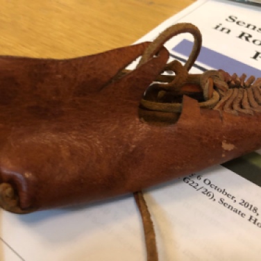 A leathery shoe